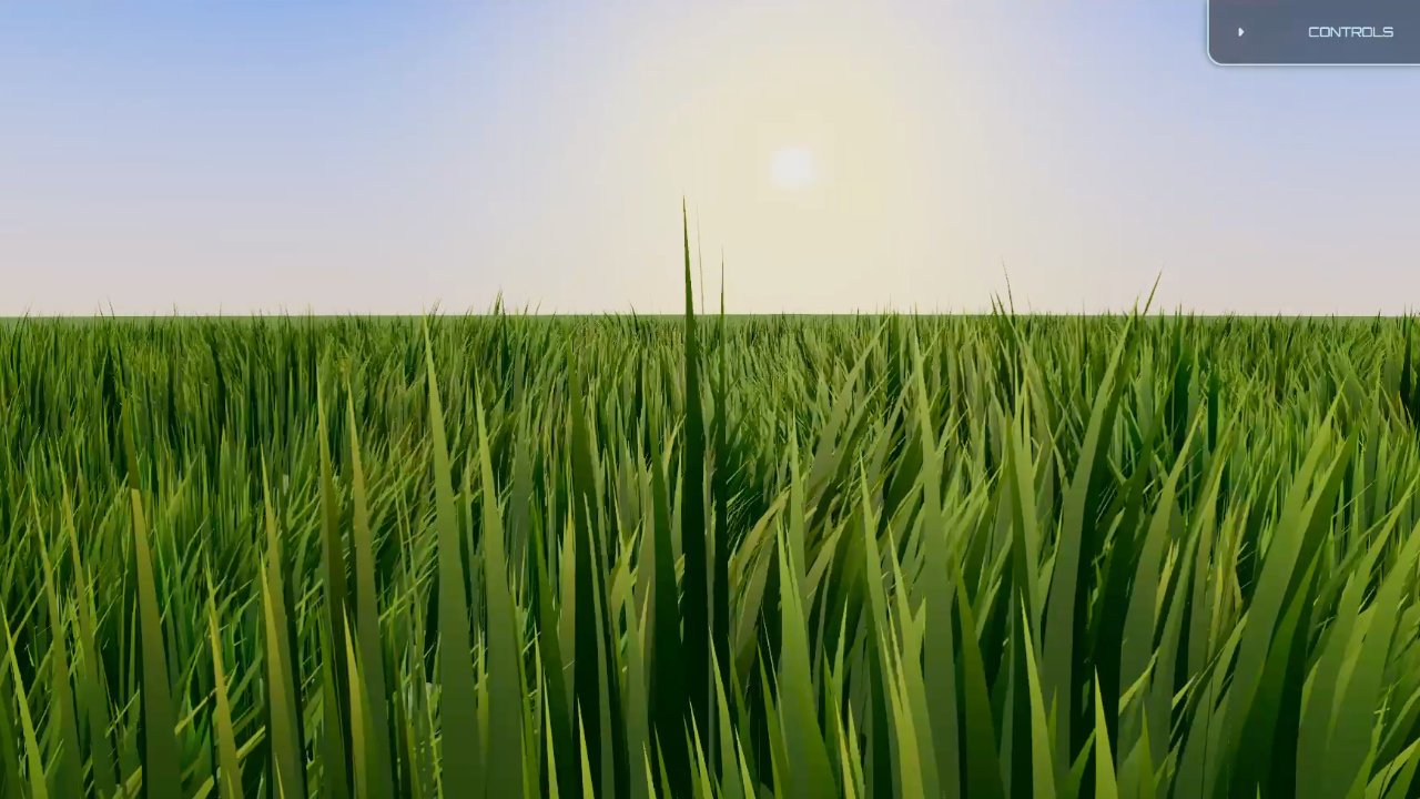Grass field rendered with the same level of detail at every distance